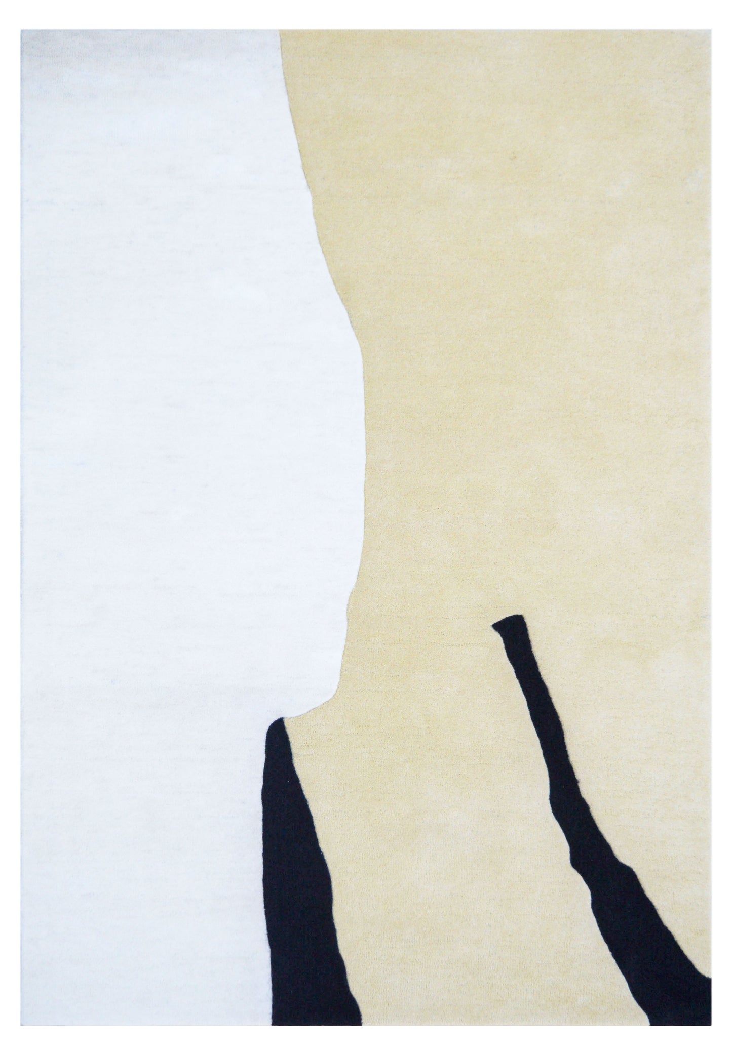 Hojet modern style hand tufted wool area rug