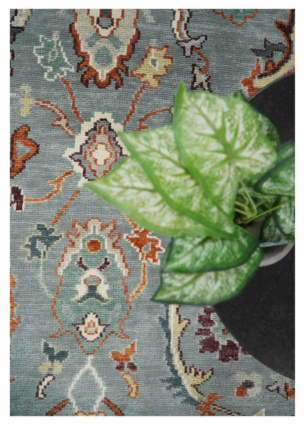 traditional style rug