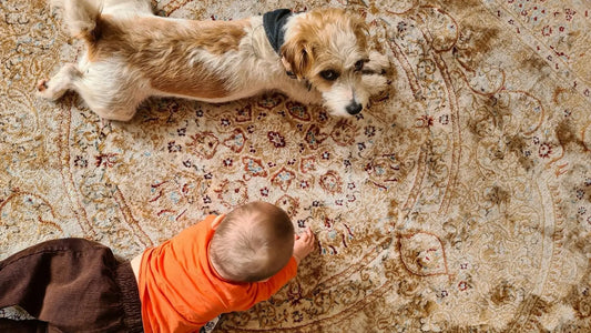 pet and kid on handmade rug