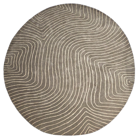 SIPSE RUG