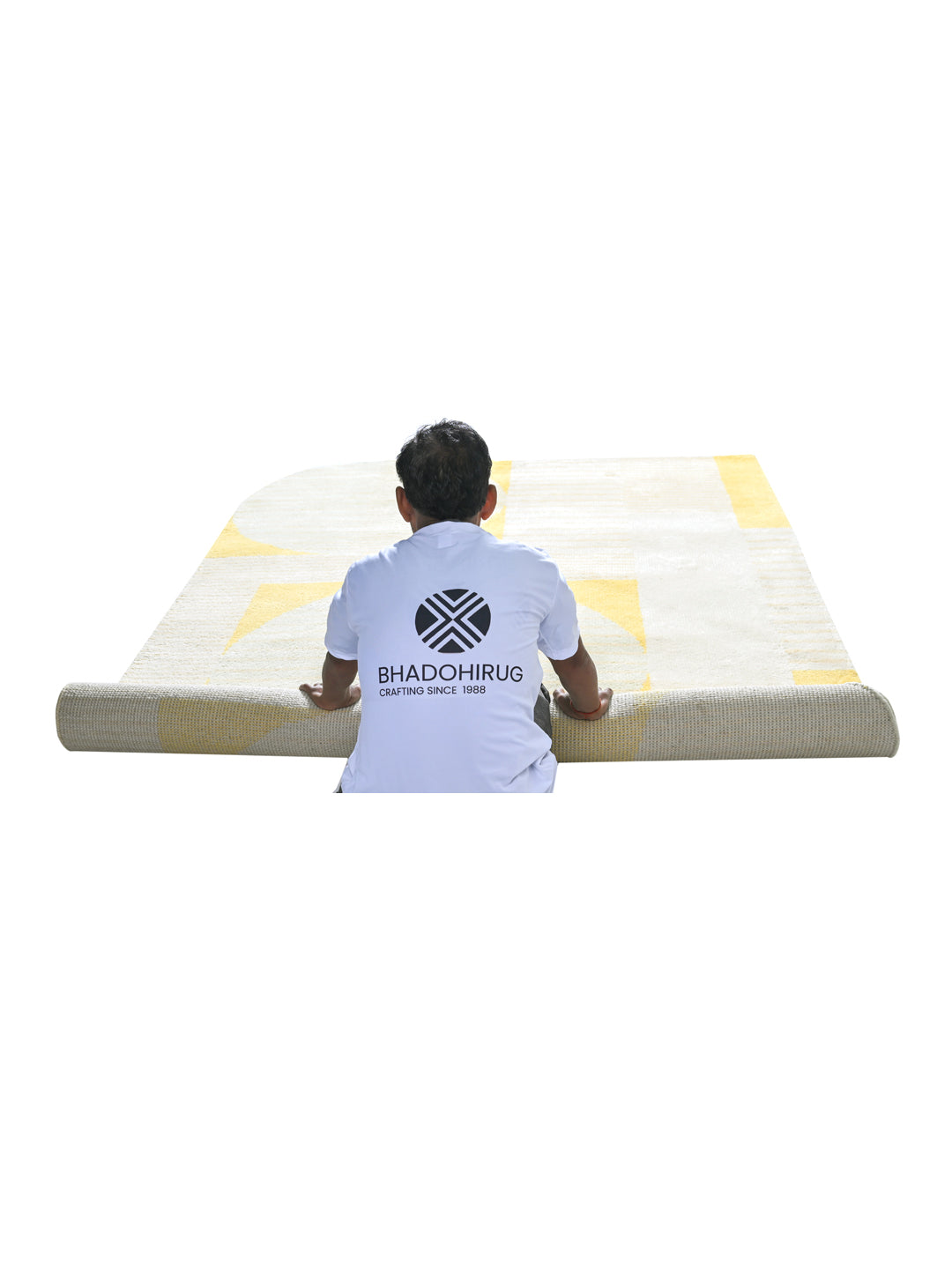 Arena Hand Knotted Wool Rug
