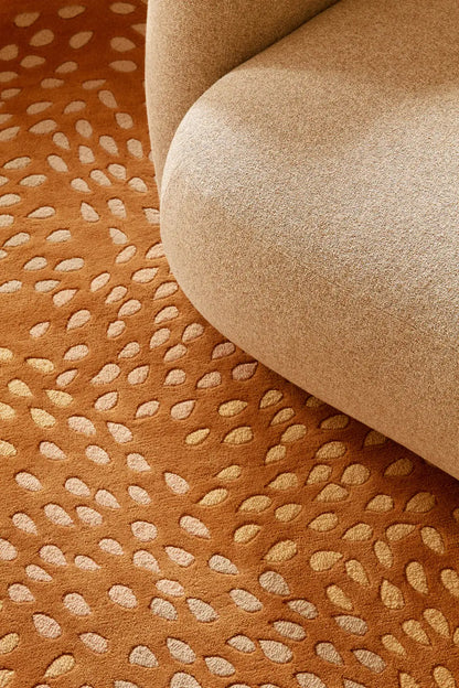 textured wool rug for living areas